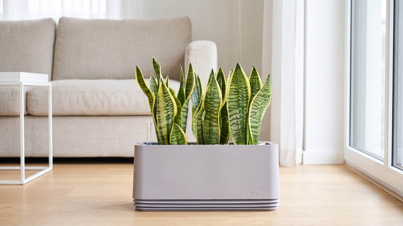 The Airy air-purifying planter with a snake plant in a bright, minimalist living room