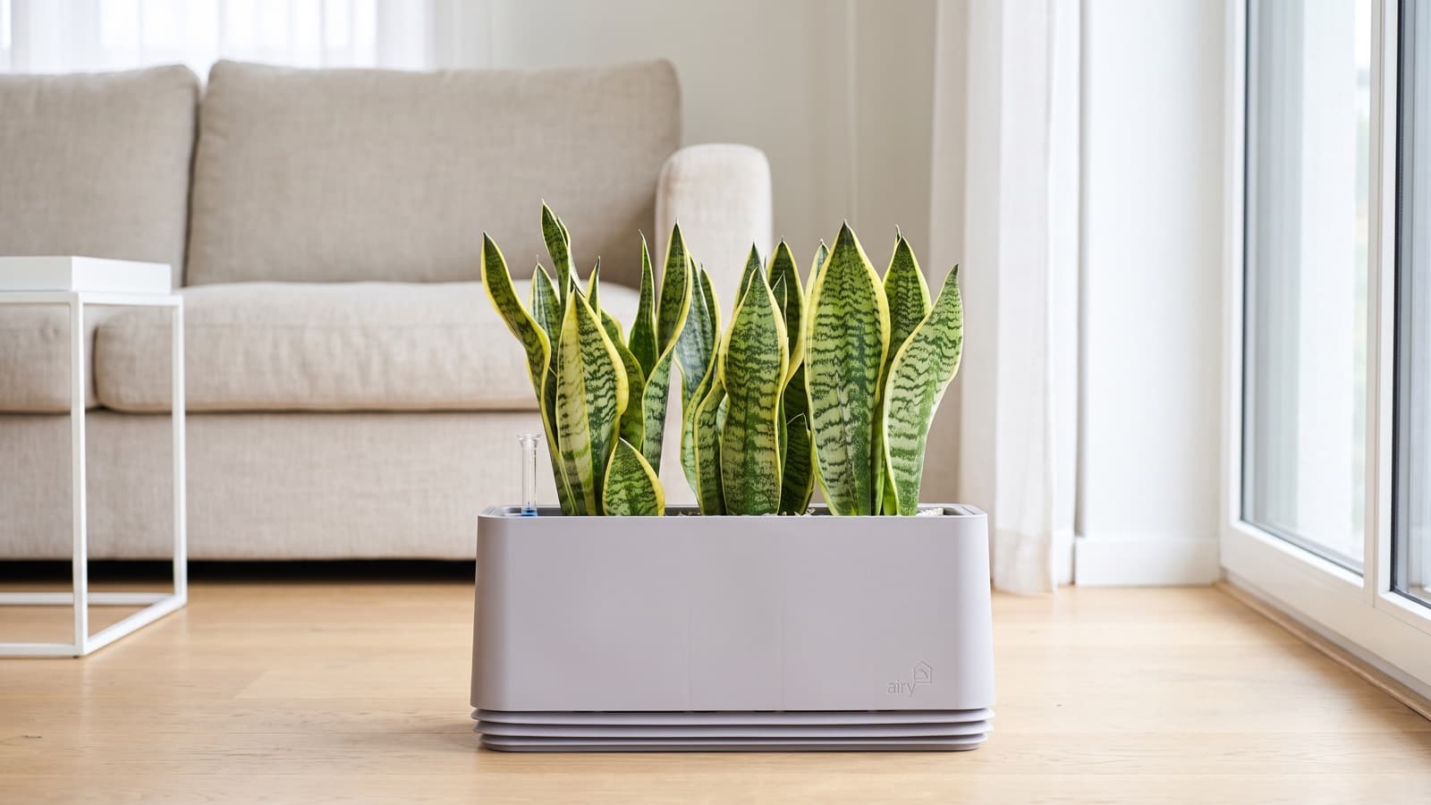The Airy air-purifying planter with a snake plant in a bright, minimalist living room